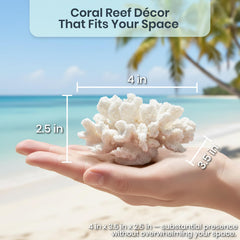 Nautical Crush Trading Coral Blanco, decorativo de coral blanco para centros de mesa costeros.