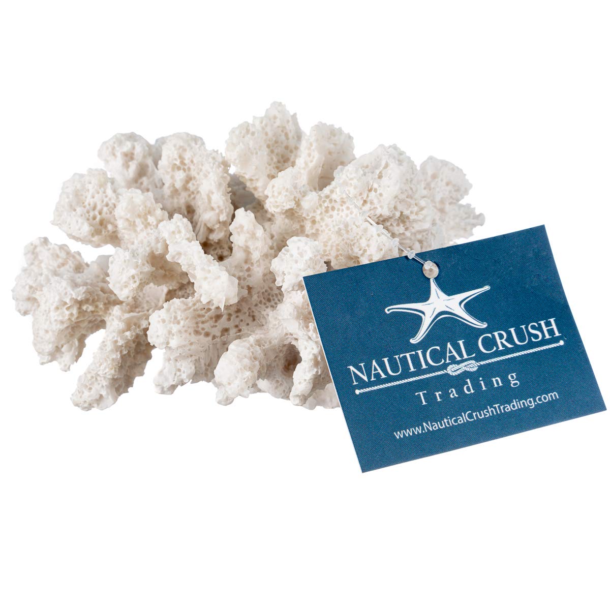 Nautical Crush Trading Coral Blanco, muestra de acento marino en estantes y vitrinas.