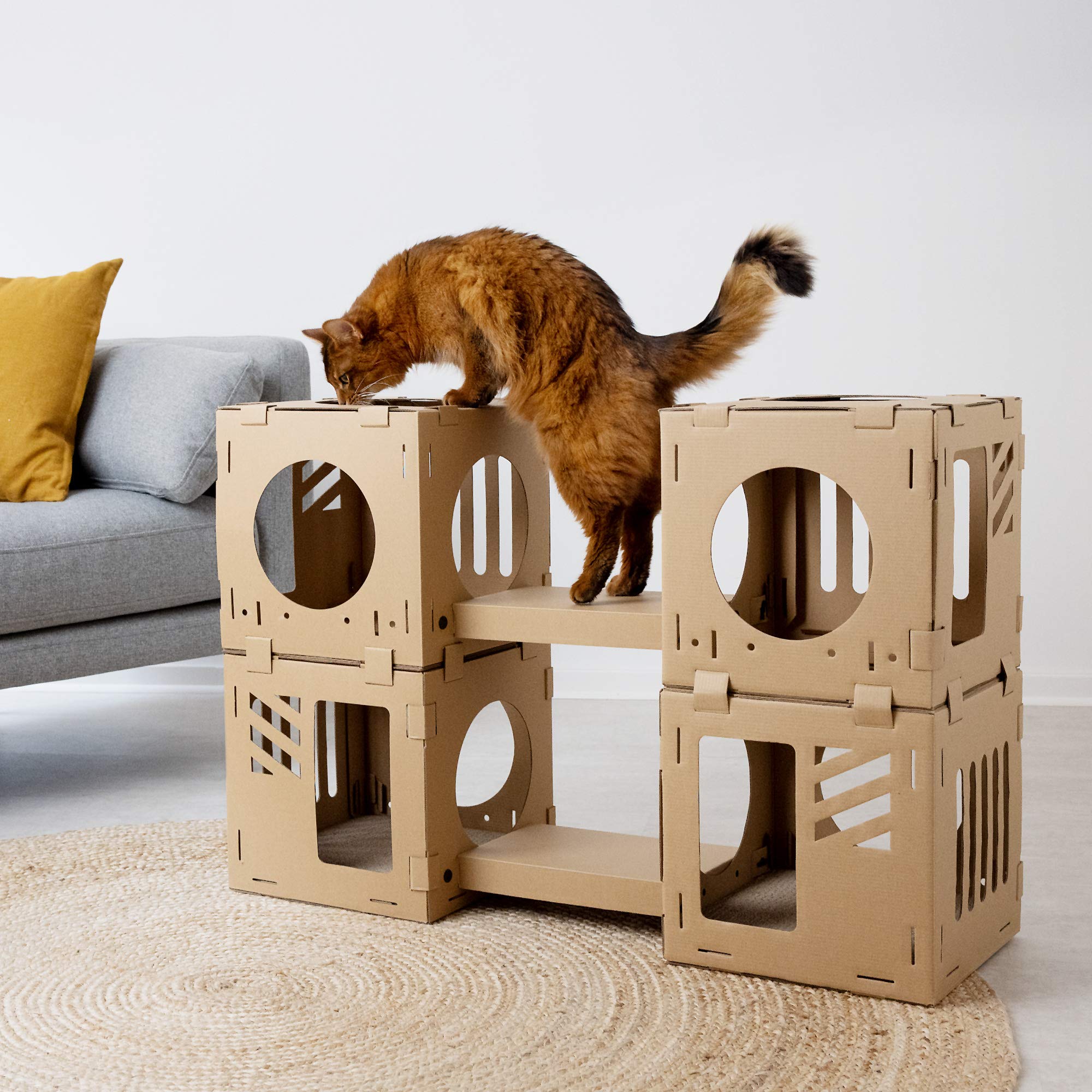 Navaris casa-gato modular: puente de conexión para crear túneles.