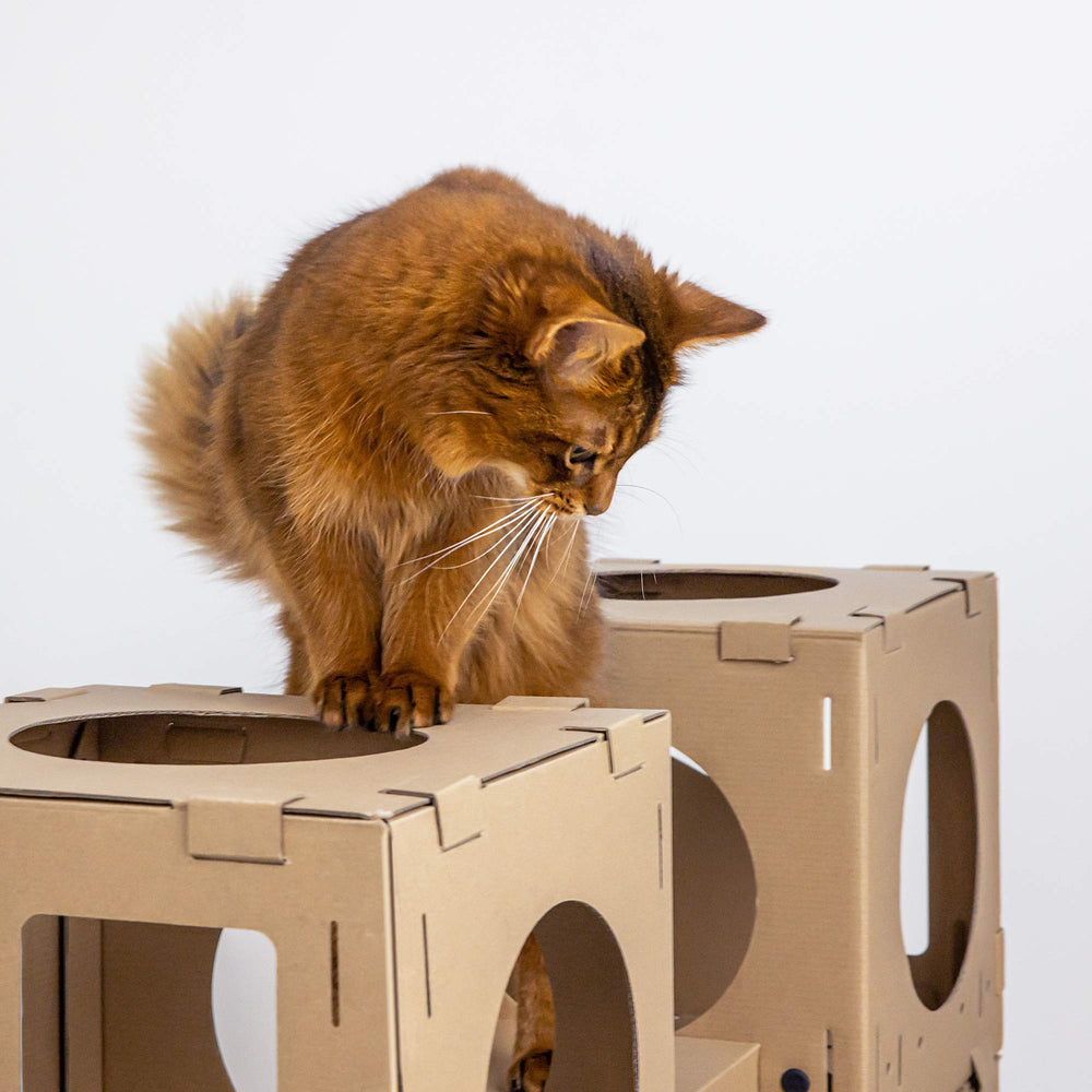 Navaris casa-gato modular: juego creativo que estimula la curiosidad natural.