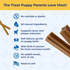 N-Bone Jumbo Puppy Teething Sticks packaging shows 7.28 oz bag