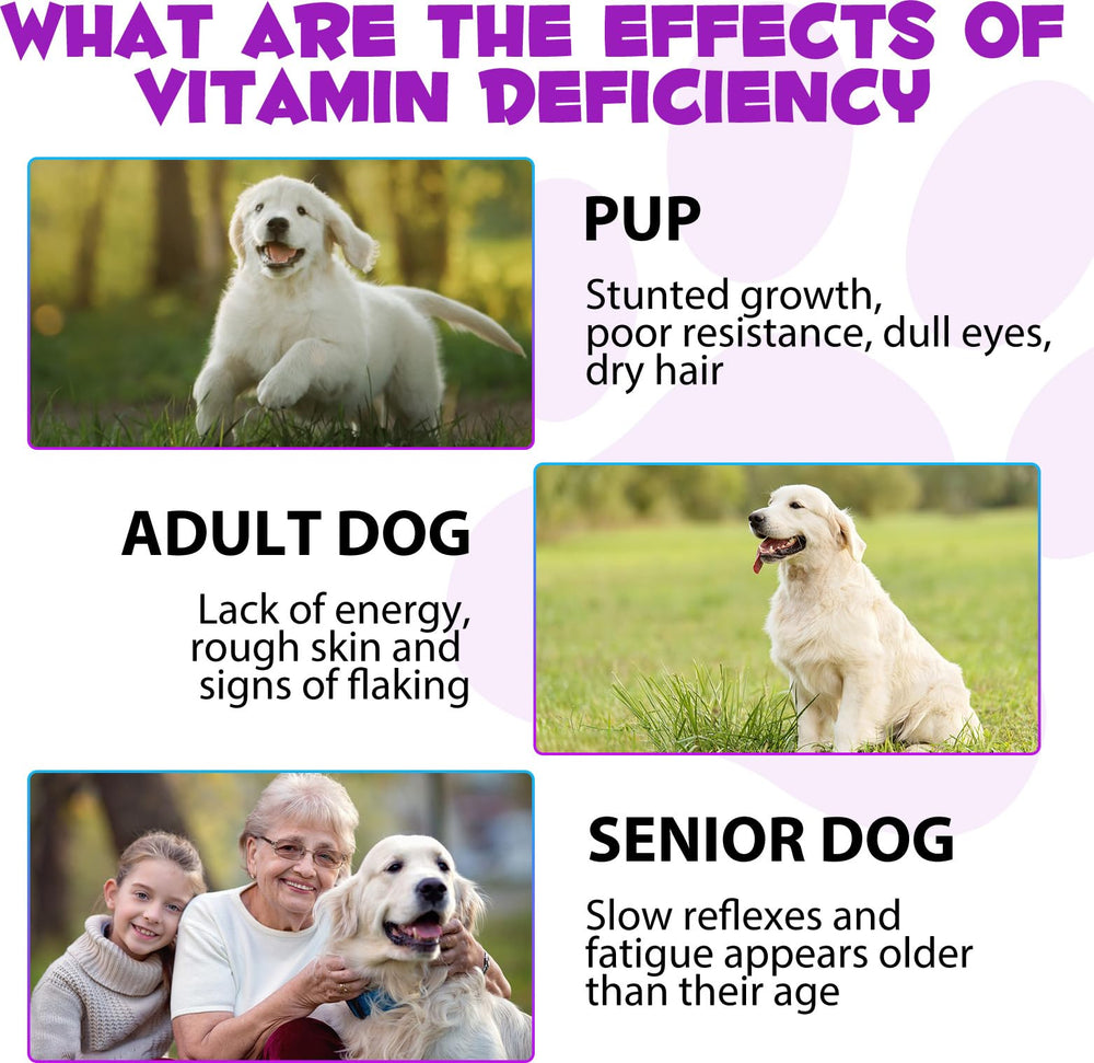 Fórmula NB TREKTIE con ingredientes naturales y sin rellenos para perros