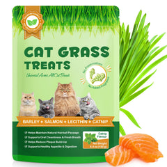 NBTREKTIE Premios dentales con hierba gatera para gatos, empaque práctico.