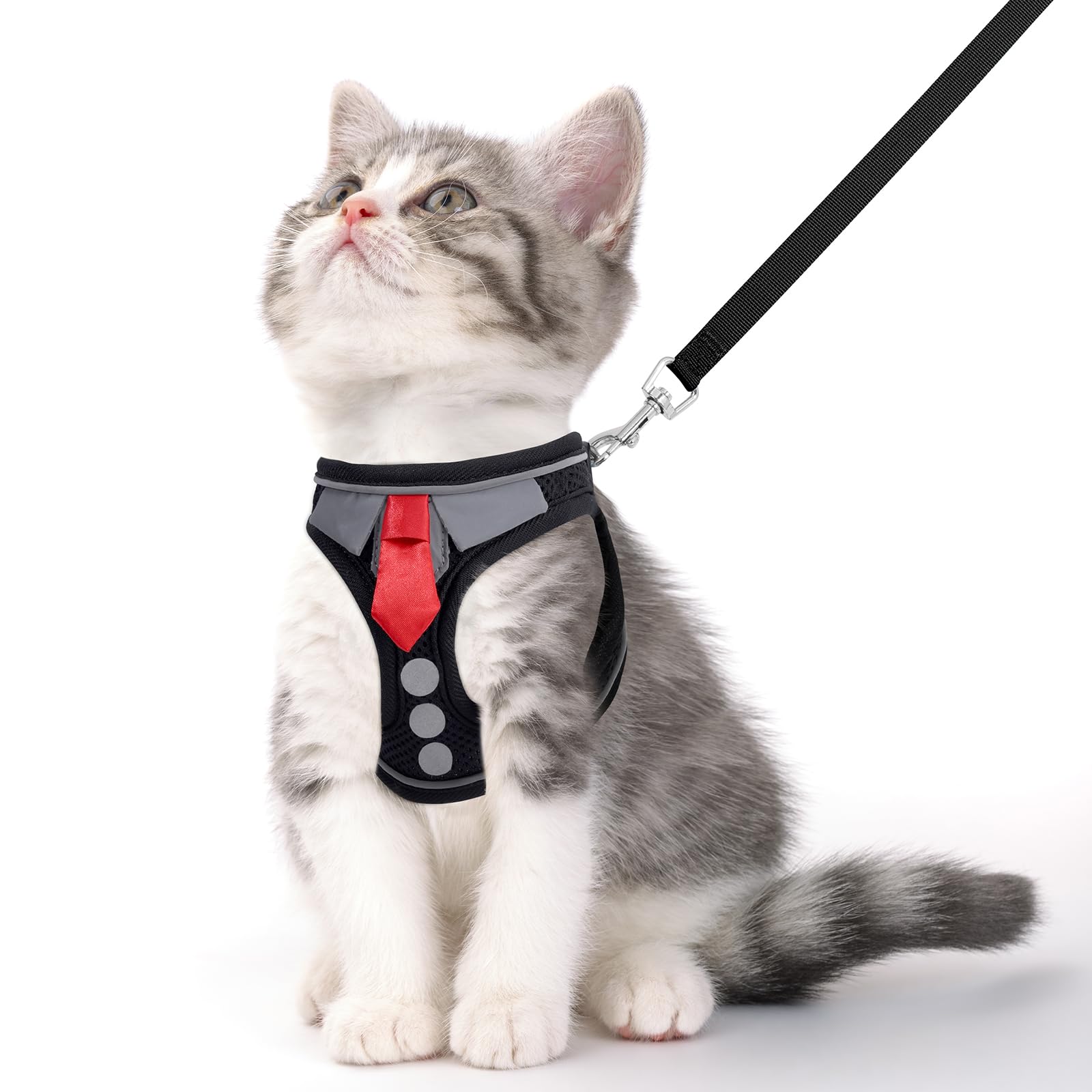 Arnés NCMAMA para gato con diseño de lazo atractivo, ideal para fotos.