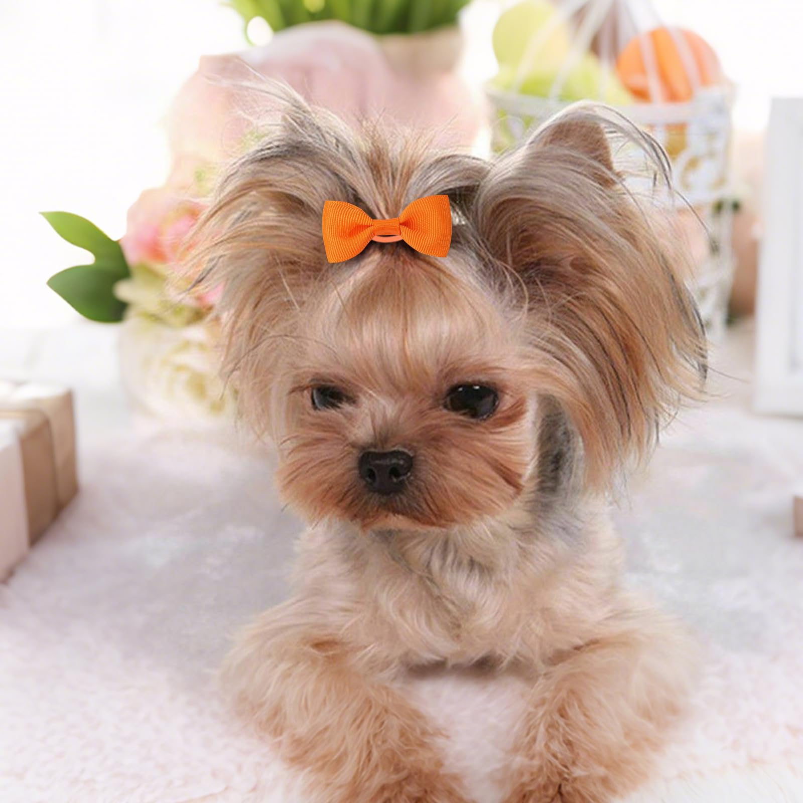 NCMAMA lazos para perro colores variados para outfits