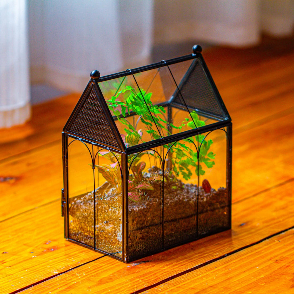 NCYP terrario de vidrio para decoración de escritorio en casa.