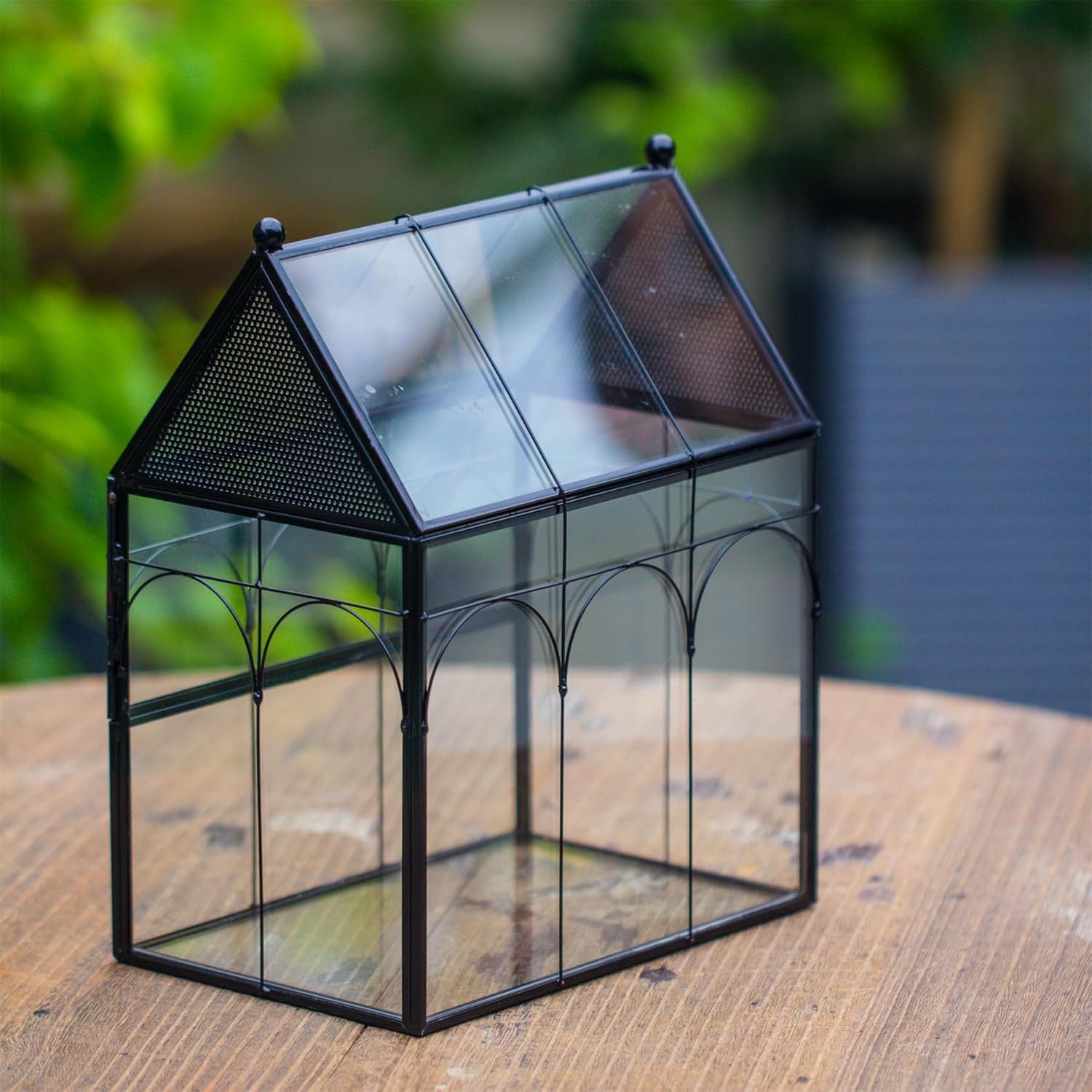 NCYP terrario de vidrio para uso decorativo y seco en interiores.