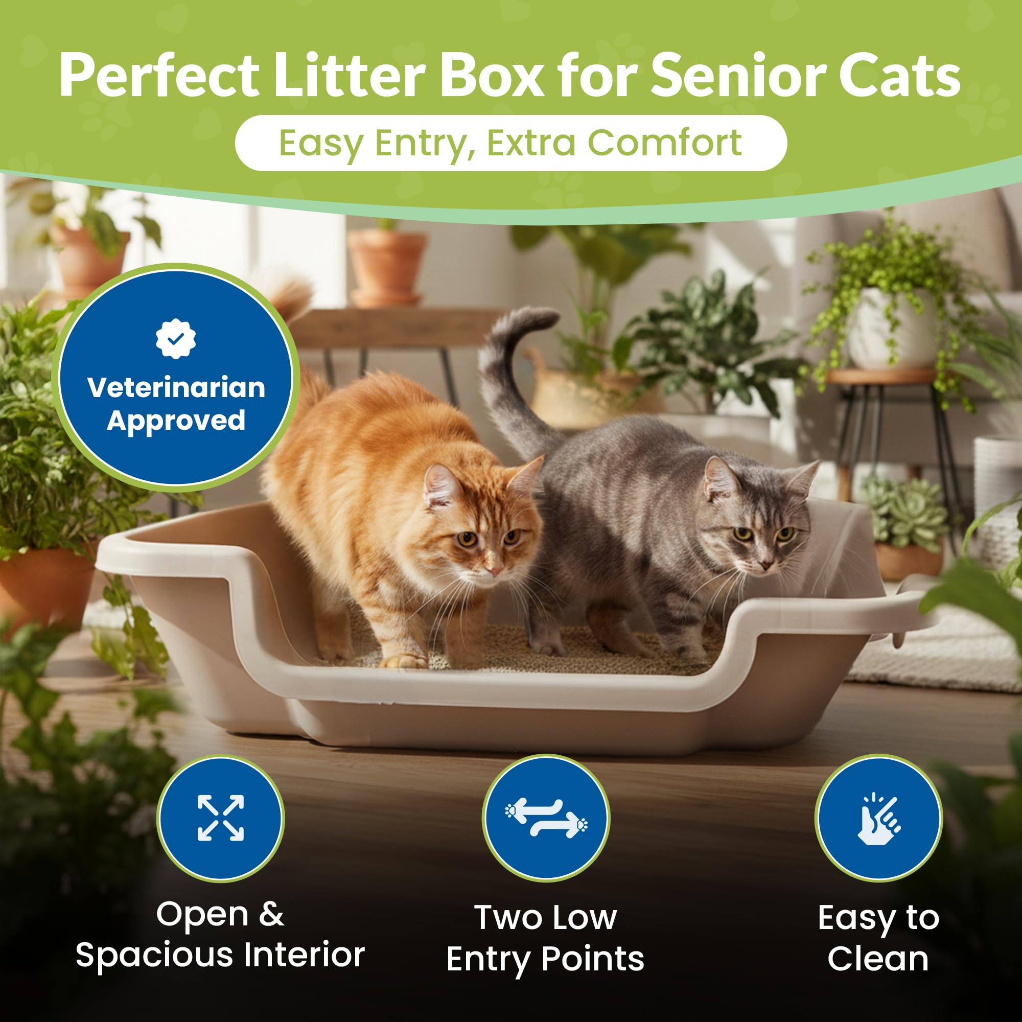 KittyGoHere 2.0: dos entradas para movilidad y comodidad mejoradas.