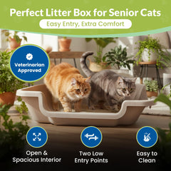 KittyGoHere 2.0: dos entradas para movilidad y comodidad mejoradas.