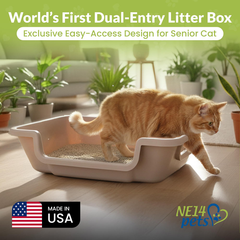 KittyGoHere 2.0: ideal para hogares con varios gatos y uso frecuente.