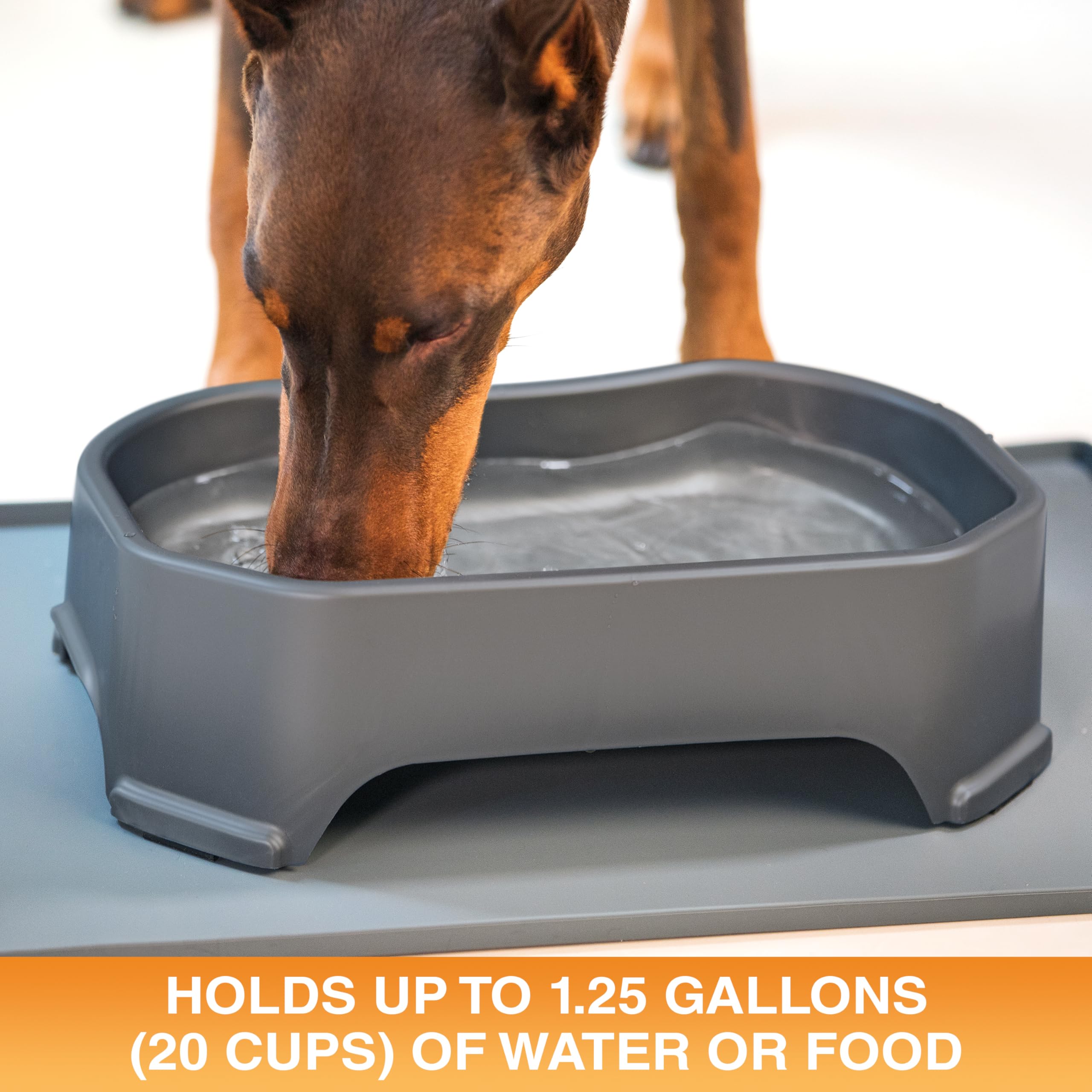 Bebedero Neater para perros, 1.25 galones, ideal para patios.