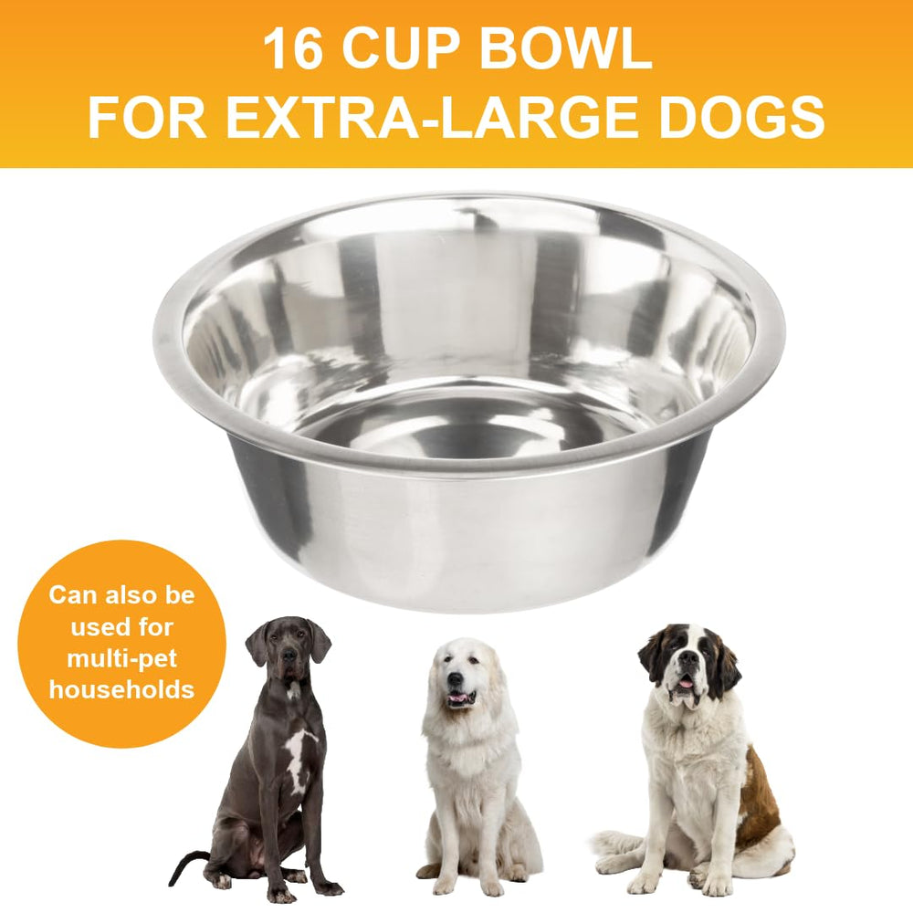 Capacidad de 128 oz (16 tazas) en cuenco Neater Pet Brands para perros grandes.