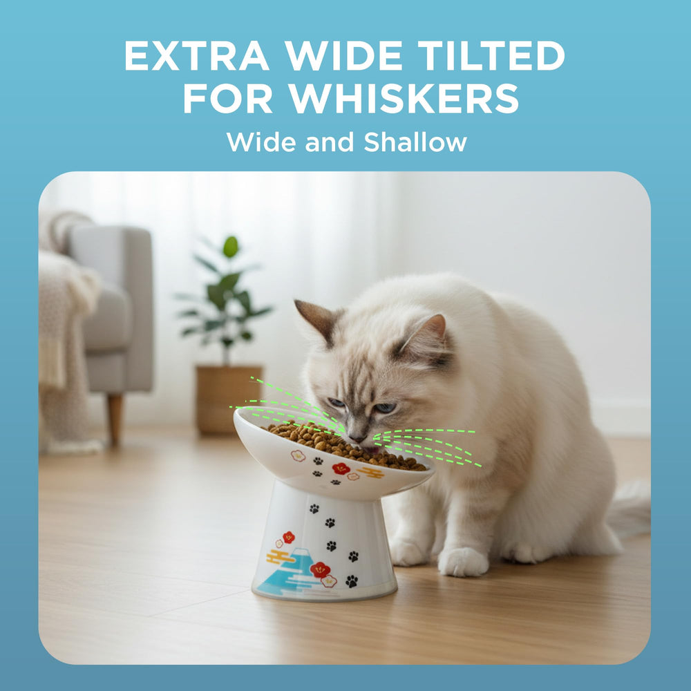 Necoichi diseño anti-vomito para gatos, favorece una experiencia de comida más fluida