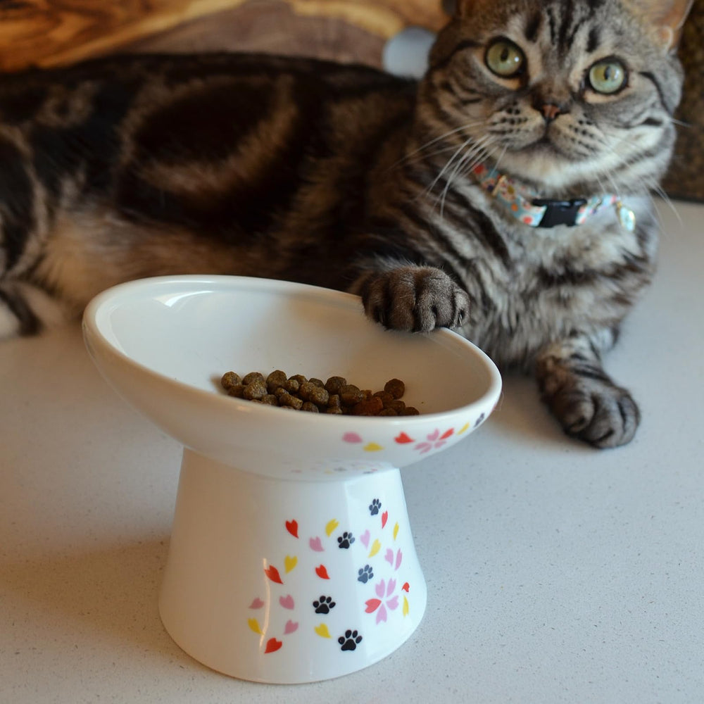 Necoichi ideal para gatos de interior o gatitos grandes