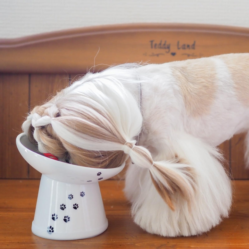 Necoichi ideal para comedores desordenados y gatos con hocicos planos