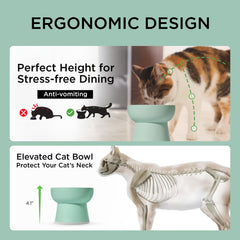 Necoichi tazón BPA libre, material seguro para el alimento del gato.