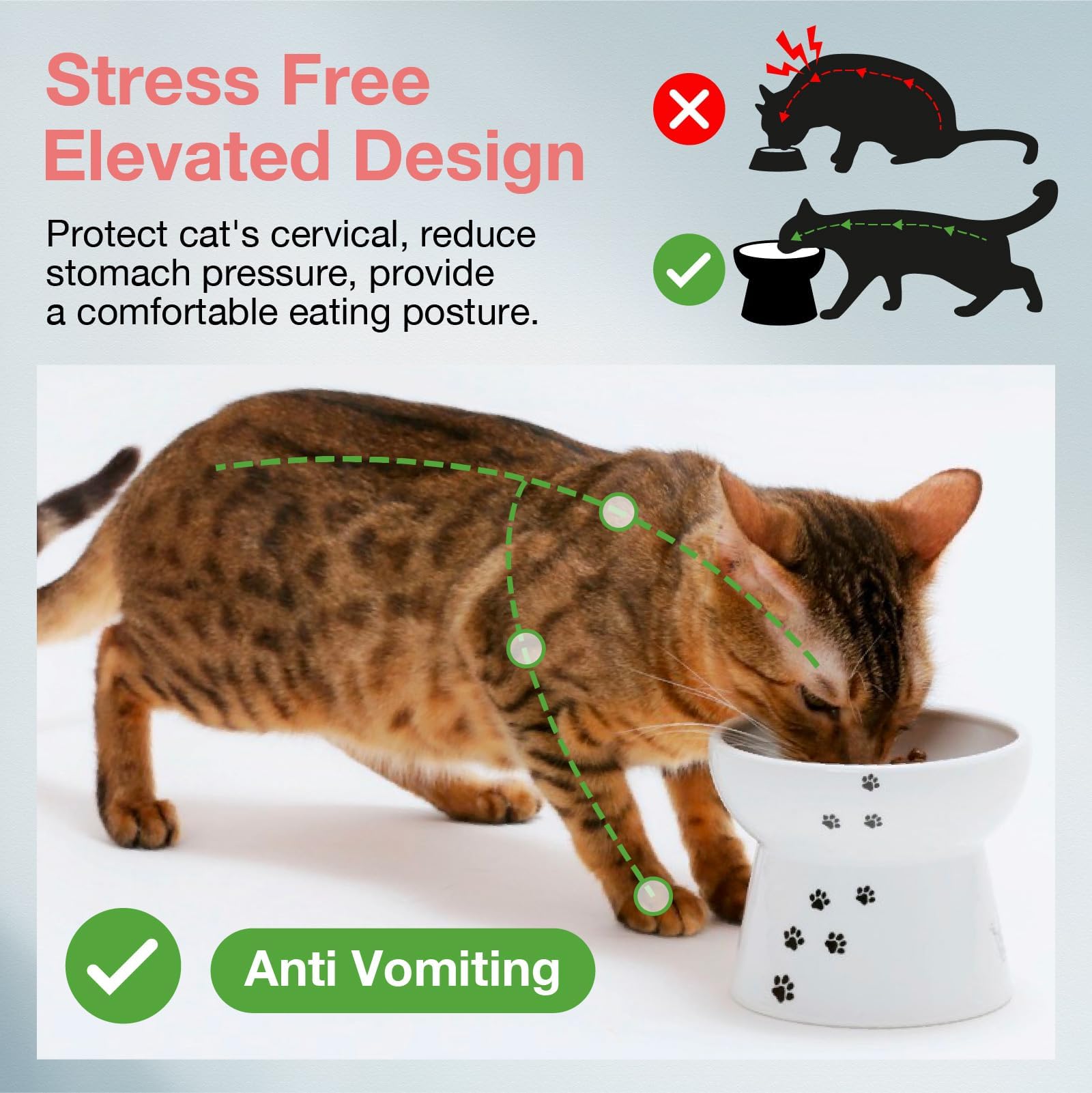 Necoichi tazon-gato-ergonomico-alto para cuello relajado