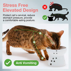 Necoichi tazon-gato-ergonomico-alto para cuello relajado