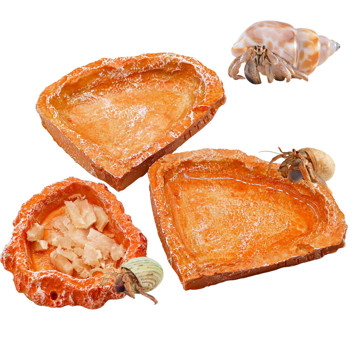 Neeenn plato-alimento-reptil-resina-realista-roca-grande, ideal para terrarios.