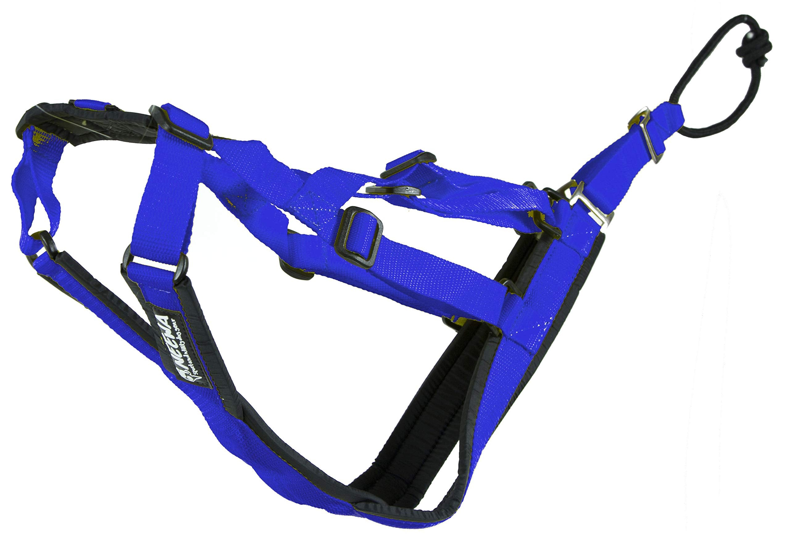 Neewa Sled Pro arnés ajustable, vista frontal, confort para perros grandes.