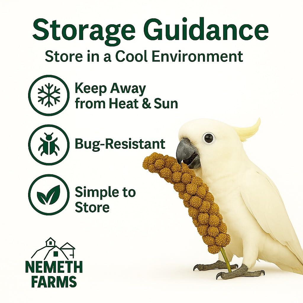 Nemeth Farms Millet Spray, para aves: snack diario nutritivo para su rutina.