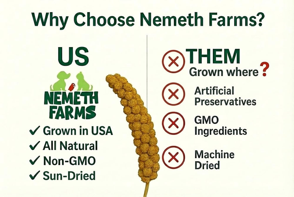 Nemeth Farms Millet Spray, sin GMO, opción natural para entrenar y premiar aves.