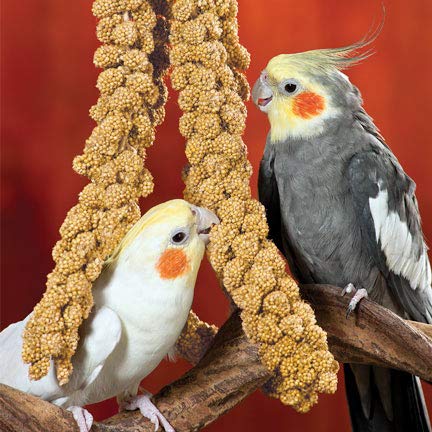 Nemeth Farms, nido de aves, apoyo al comportamiento natural.