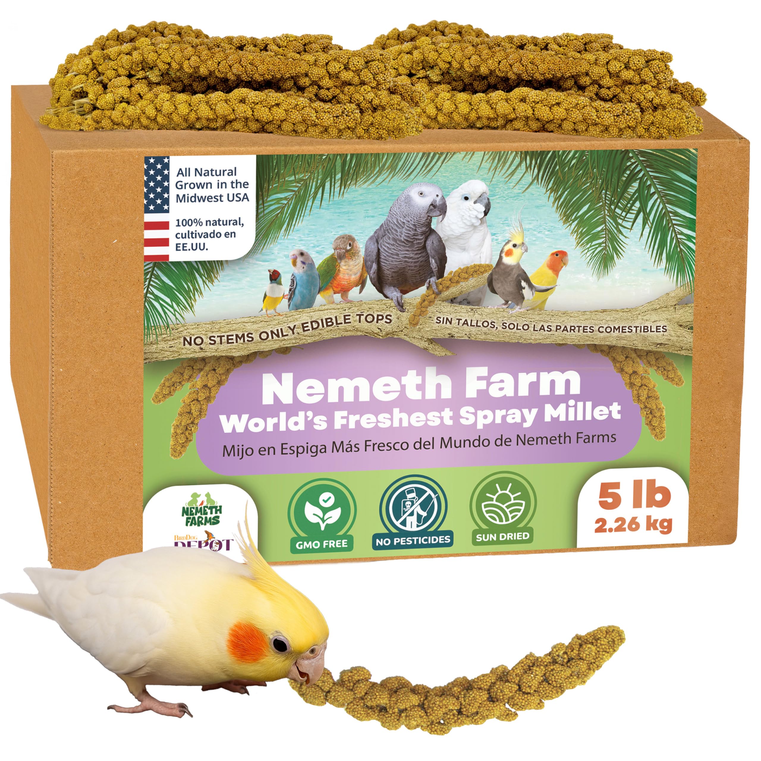 Nemeth Farms, paquete de ramo de mijo, opción natural para alimentar aves exóticas.