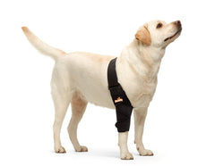 NeoAlly codo de perro protector ofrece soporte cómodo y ajuste seguro para movilidad.