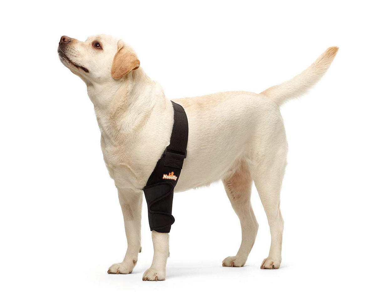 NeoAlly codo protector perro derecho: soporte estable para movilidad diaria.