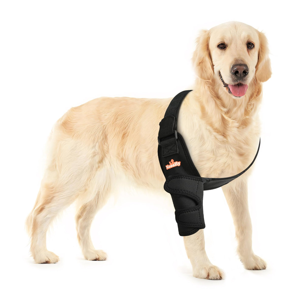 NeoAlly protector de codo para perros, cómodo y transpirable durante caminatas.