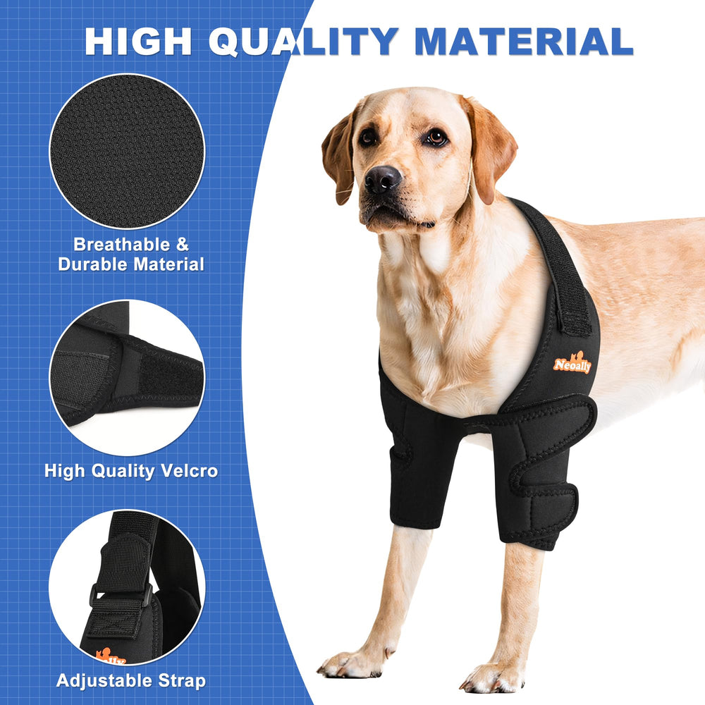 Probado en razas populares y recomendado por veterinarios.