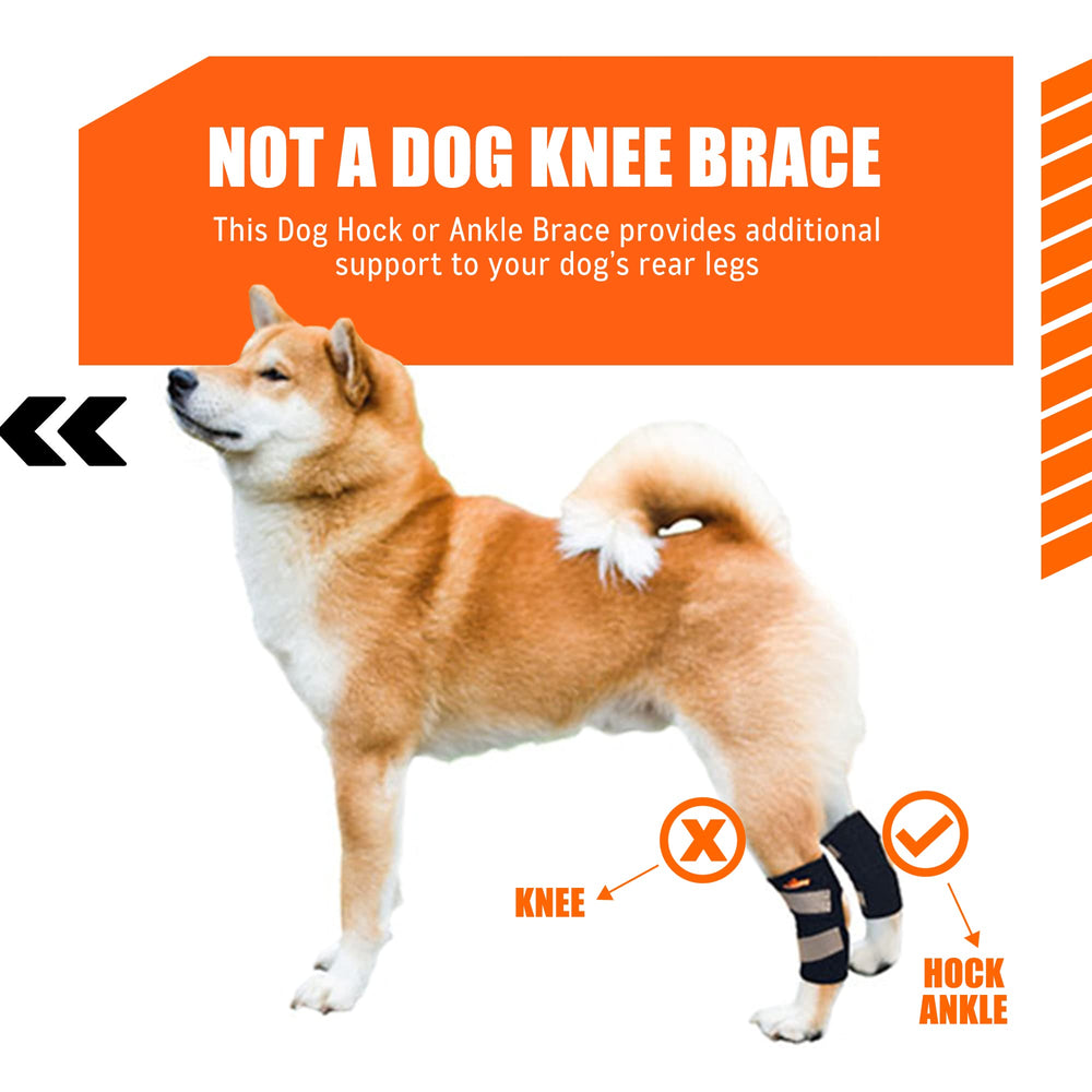 NeoAlly diseño ergonómico para tobillo trasero de mascotas.