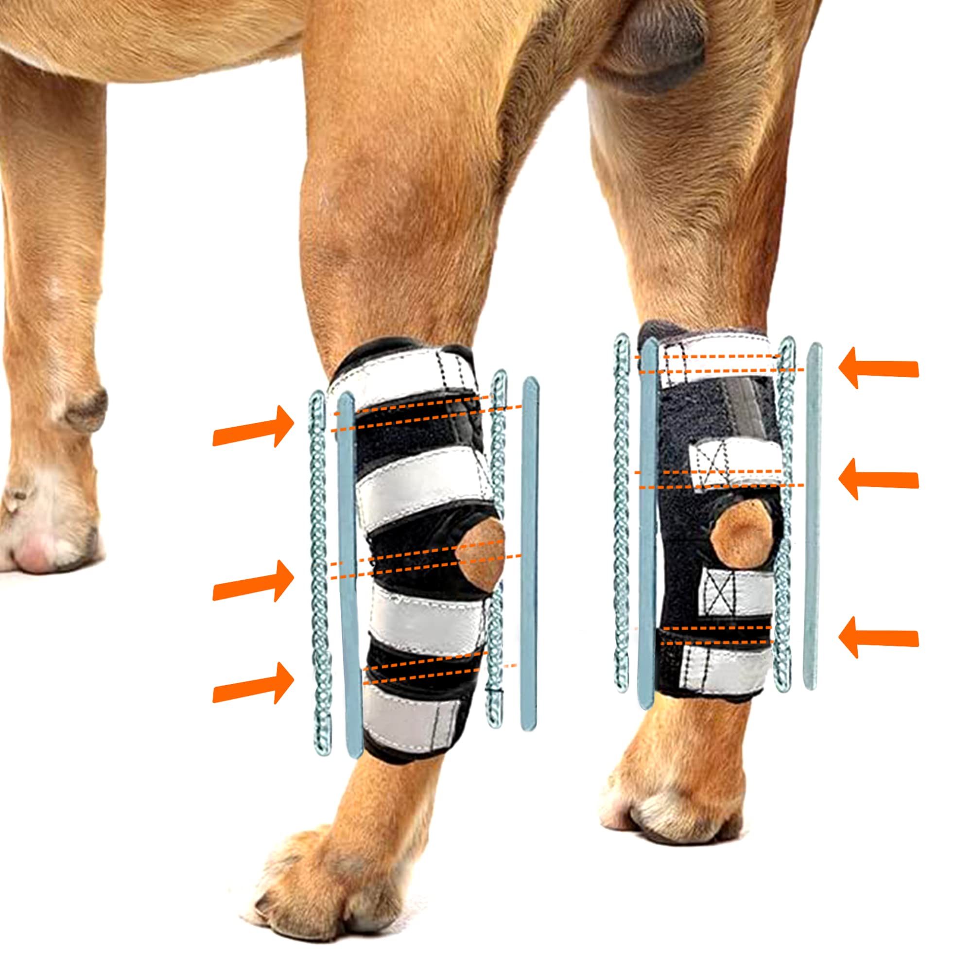 NeoAlly ferula trasera para pierna, uso diario cómodo para perros activos.
