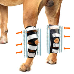 NeoAlly ferula trasera para pierna, uso diario cómodo para perros activos.