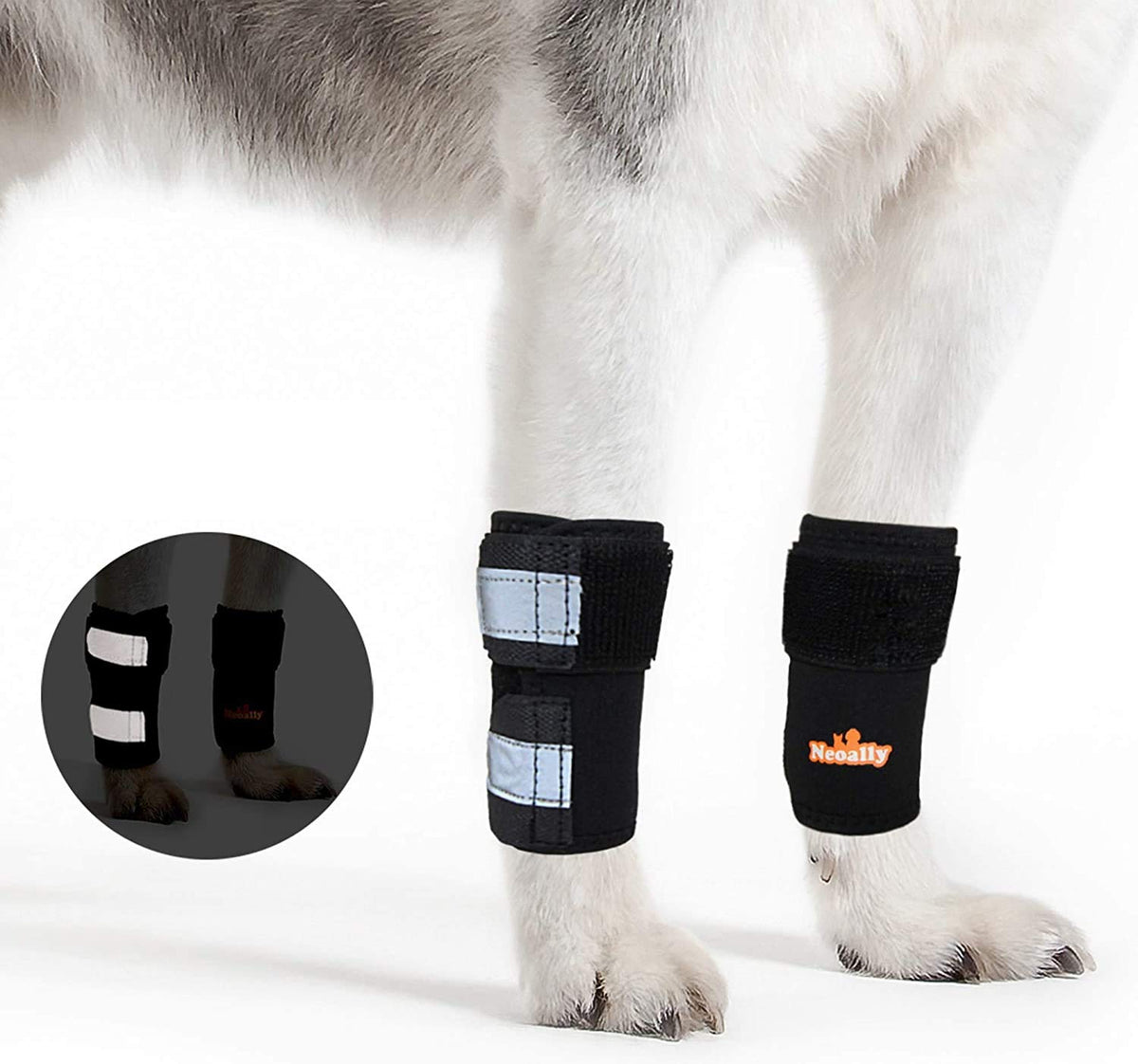 NeoAlly: soporte para pata delantera del perro, ayuda a mantener estabilidad durante la actividad.