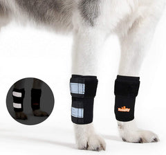 NeoAlly: soporte para pata delantera del perro, ayuda a mantener estabilidad durante la actividad.