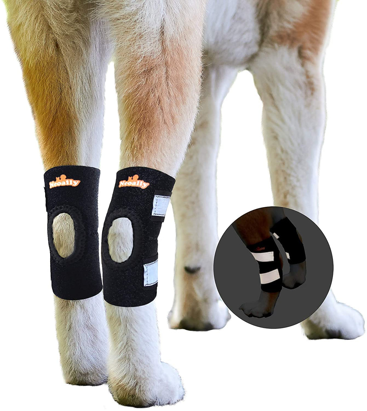 NeoAlly par de tobillos caninos para soporte estable.