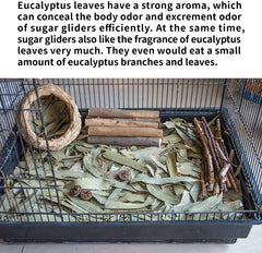 NEOUZA sugar glider, paquete de hojas de eucalipto de 200 g para cama y masticación.
