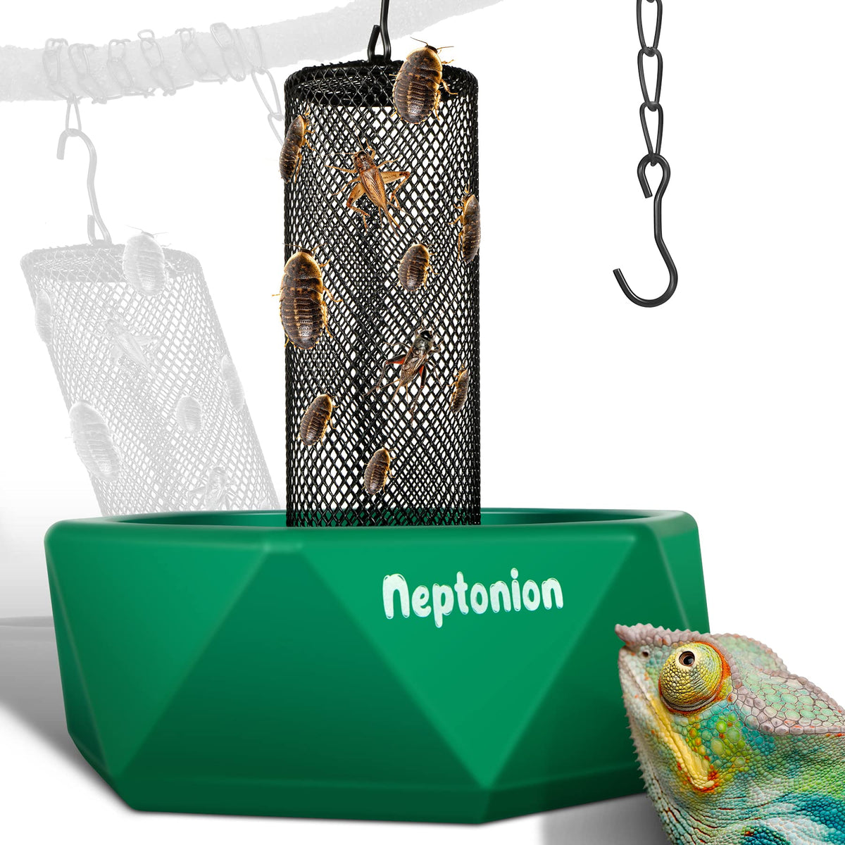 NEPTONION tazón de alimentación para camaleón con malla vertical que dirige las presas