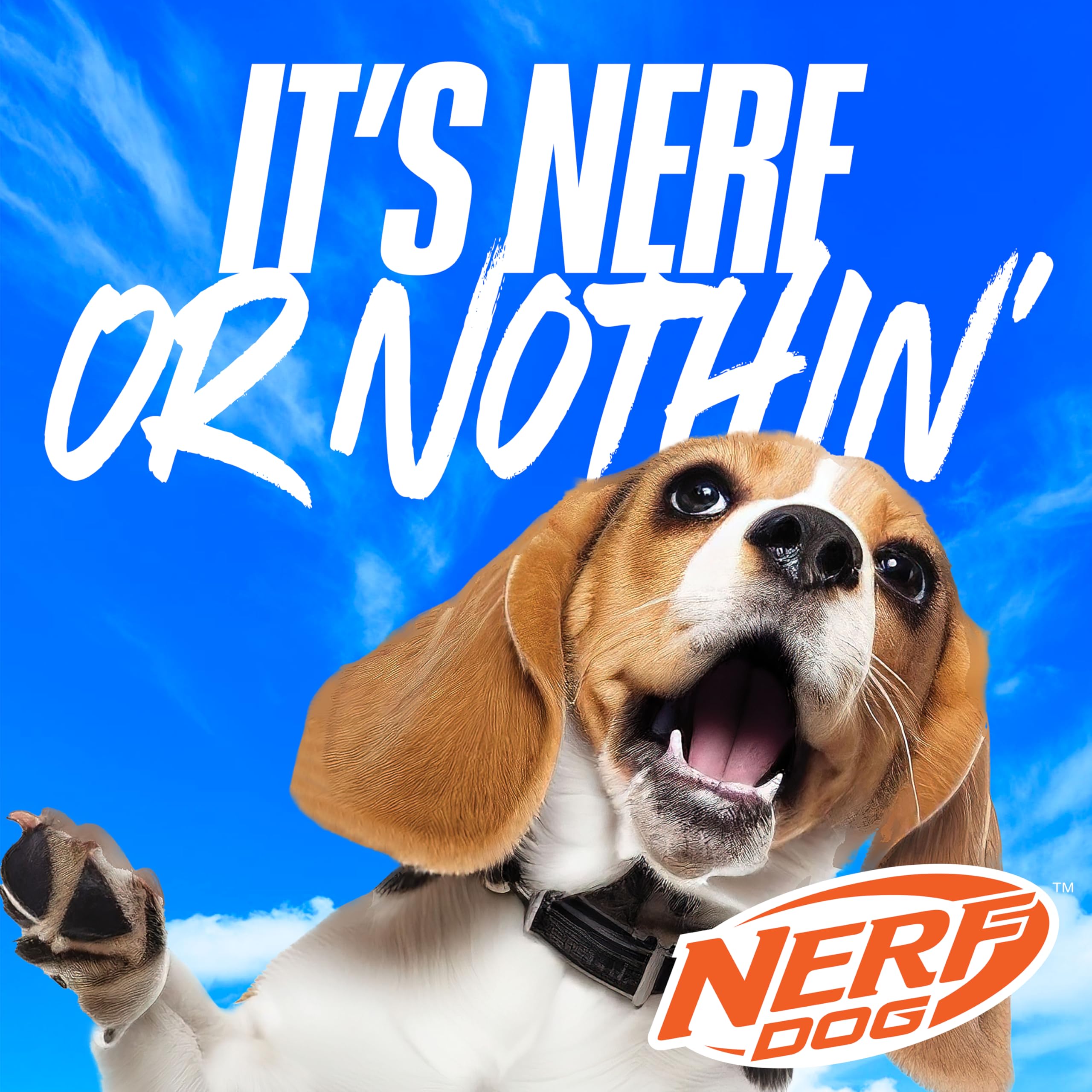 Nerf Dog 11.5in tres-anillos TPR Tug, modo juego al aire libre, duradero.