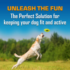 Nerf Dog Blitz: pelota resistente al agua, ideal para playa y piscina.