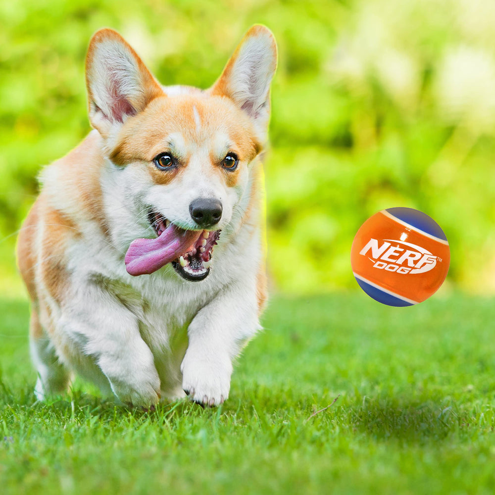 Nerf Dog bola de tamaño medio y grande para razas.
