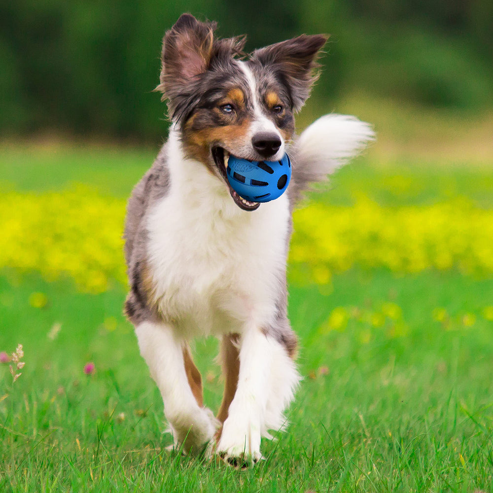 Nerf Dog: detalle de textura de goma para agarre seguro durante el juego.