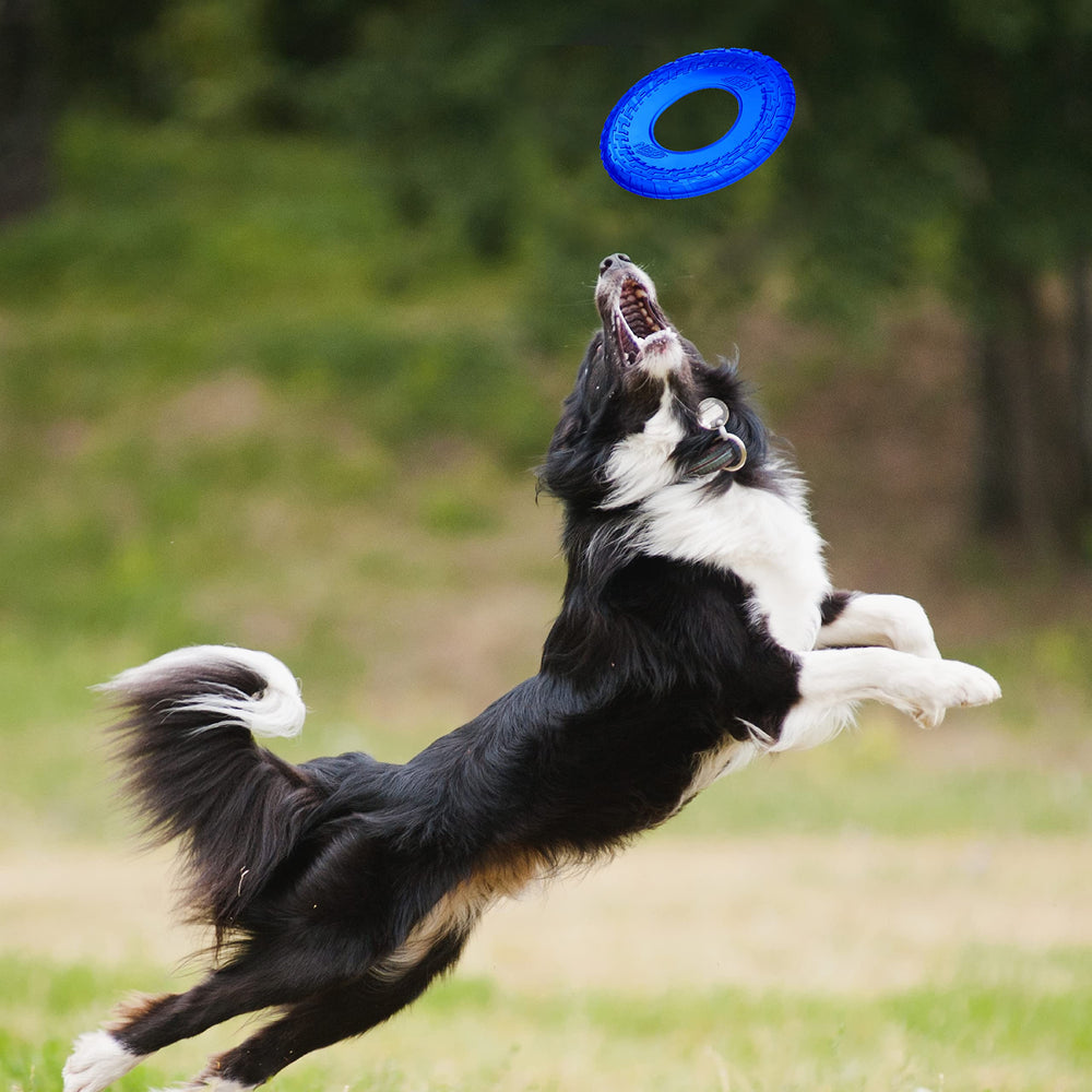Nerf Dog disco volador azul translúcido, ligero para lanzamientos largos y distancias