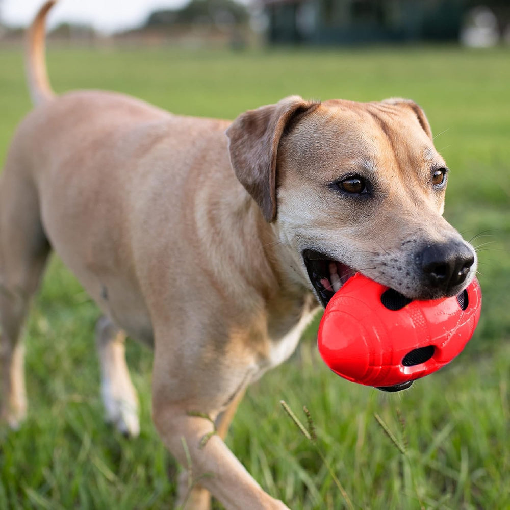 Nerf Dog Futbol para perros medianos y grandes, juego seguro.