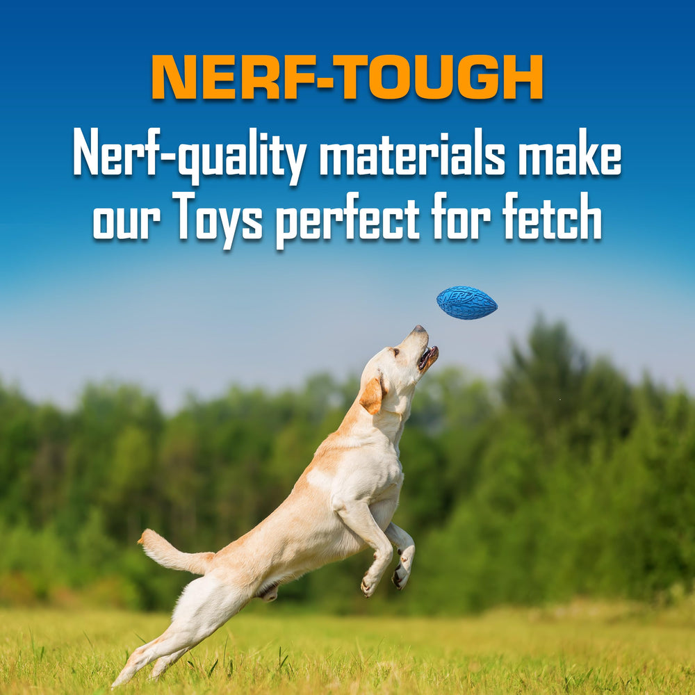 Nerf Dog juguete exterior resistente para todo clima
