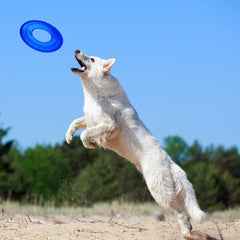 Nerf Dog juguete volador azul TPR para entrenamiento y juego