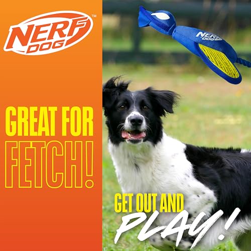 Nerf Dog patito lanzador para perros medianos y grandes, fácil de seguir.