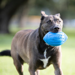 Nerf Dog Pelota Ridged Textura Agarre azul, mejor agarre durante juegos de lanzamiento.